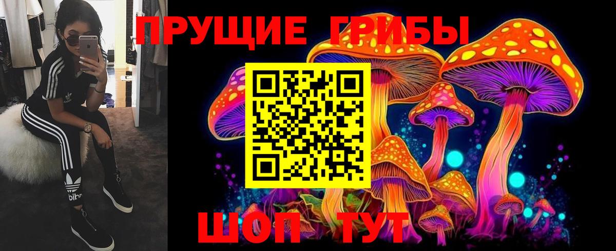Псилоцибиновые грибы мухоморы Сафоново