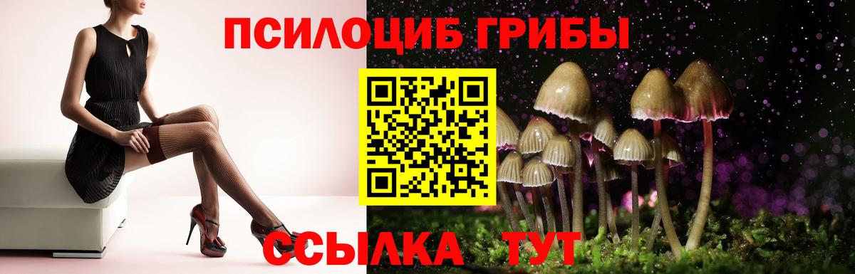 Сафоново  Псилоцибиновые грибы Magic Shrooms  Вход с VPN 